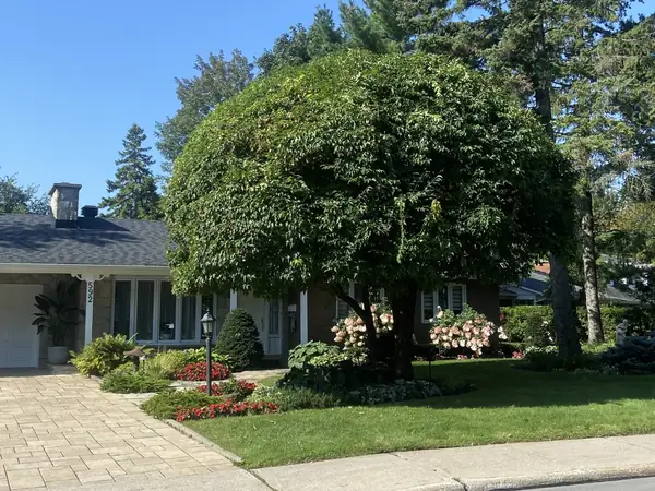 Arbre élagué devant une maison